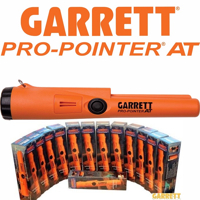 garrett-pro-pointer-at-6.jpg